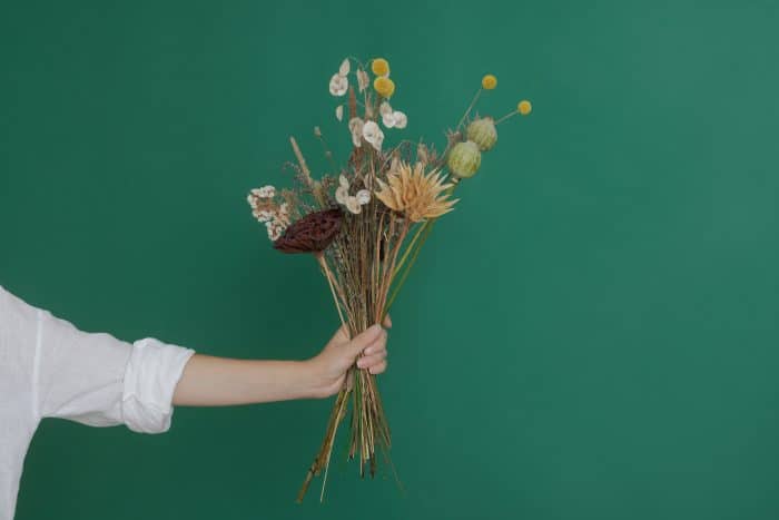 Atelier fleurs séchées sous cloche 1 AdobeStock 556917353 min 1