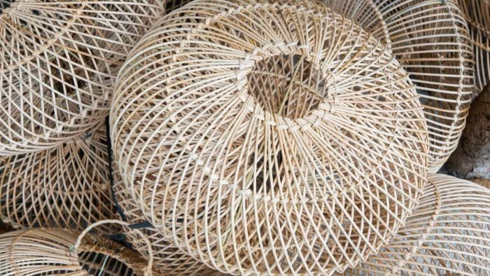 Initiation à la vannerie : "Fabrication d'un abat-jour en osier" 1 Design sans titre 12