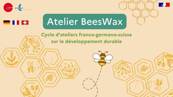 Atelier DIY – Bee Wrap 1 Atelier Beeswax