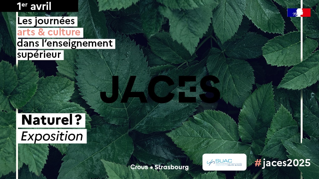 68 SITE JACES256