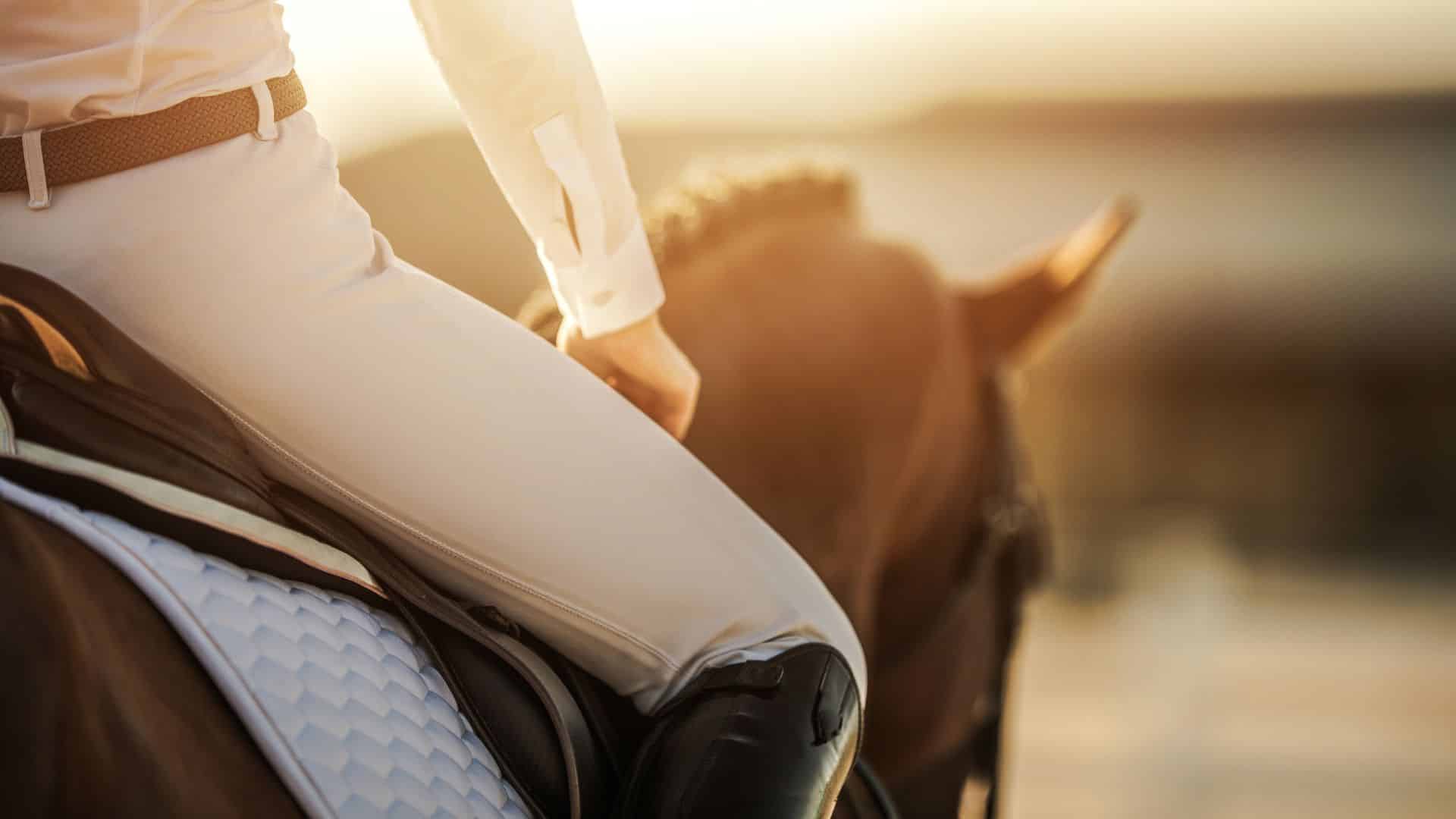 Bilan des ventes PAM Fevrier 1