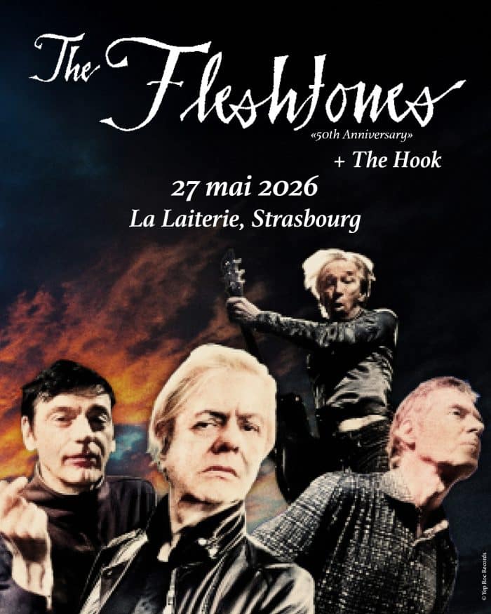 FLESHTONES HOOK INSTA