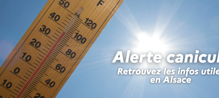 Alerte canicule 2